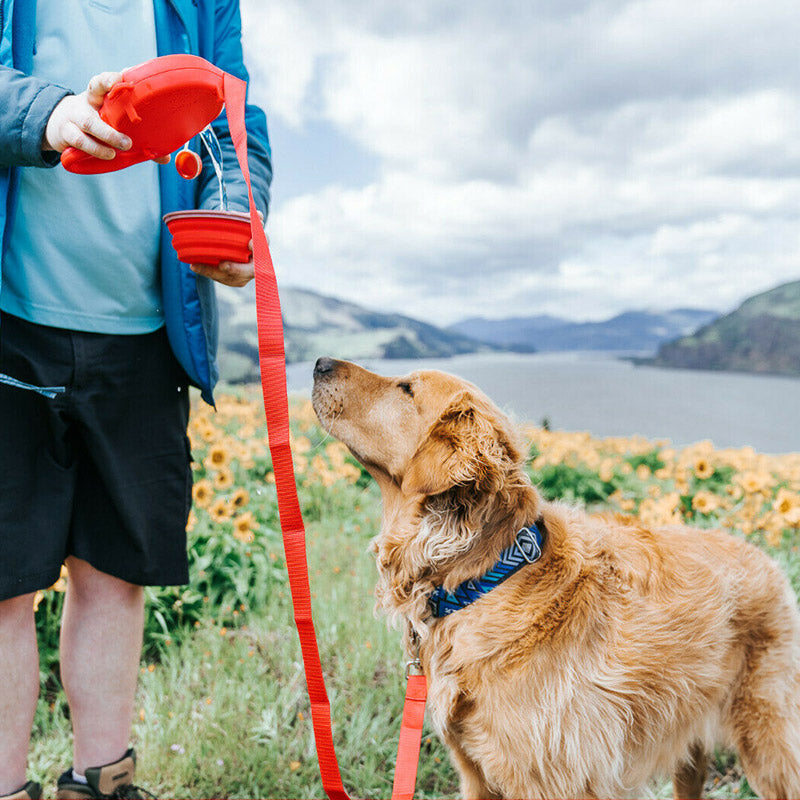 Portable Traction Rope with Water Bottle