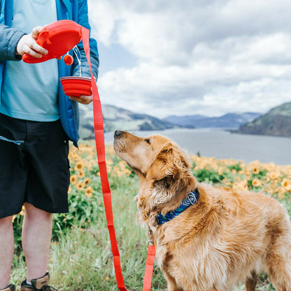 Portable Traction Rope with Water Bottle