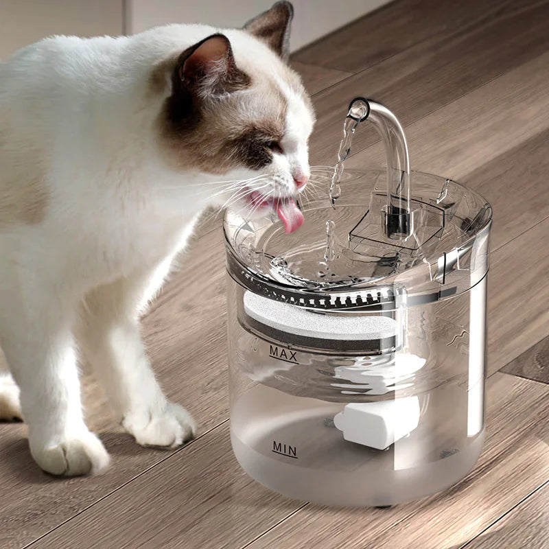 Smart Pet Water Fountain - Selling Out Fast 🔥